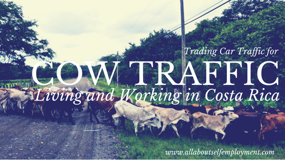 Working in Costa Rica