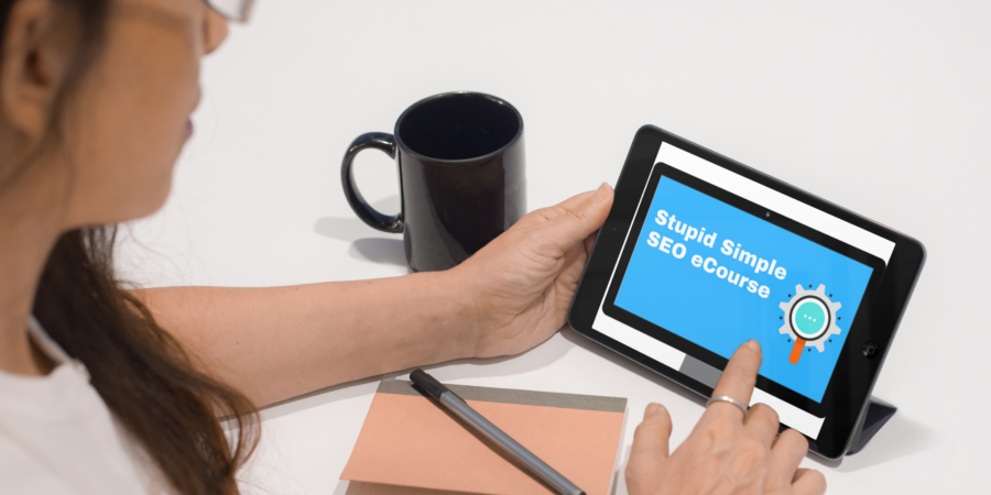 Stupid Simple SEO Course Review